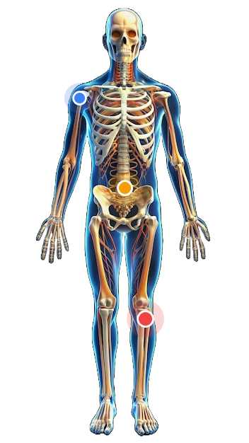 Anatomical body map with pain locations